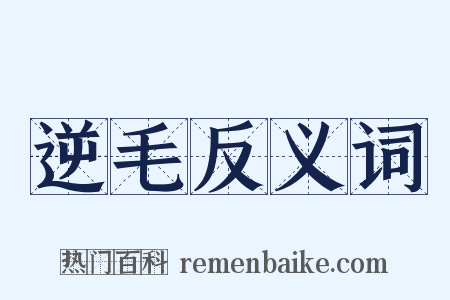 逆毛反义词是什么意思的图片